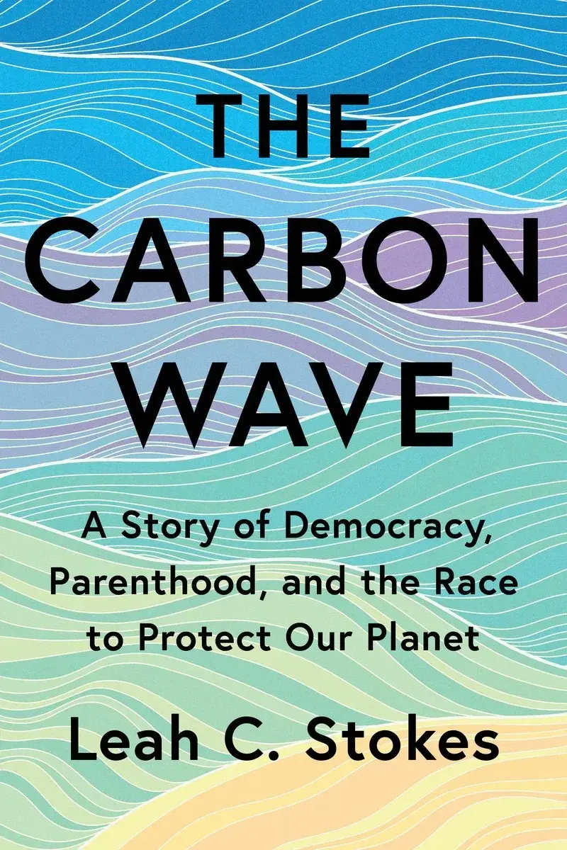 The Carbon Wave: A Story of Democracy, Parenthood, and the Race to Protect Our Planet book cover